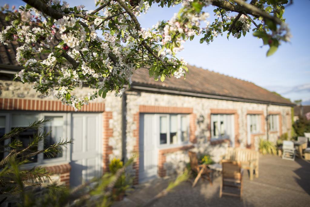 The Tytherleigh Arms Axminster Exterior photo