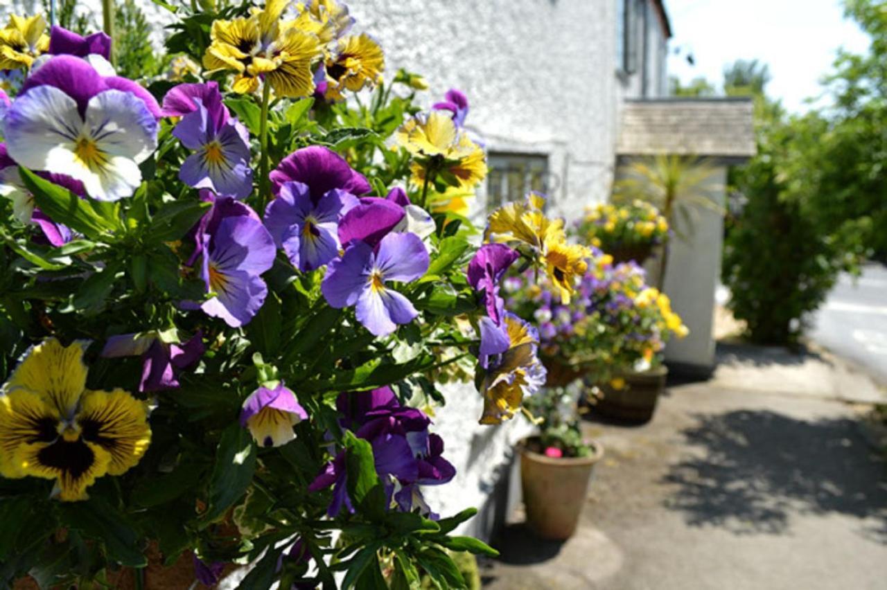 The Tytherleigh Arms Axminster Exterior photo